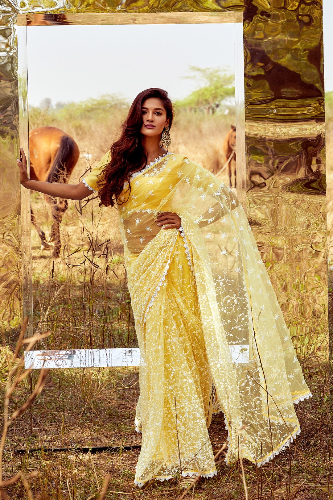 Poise Net Saree